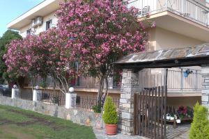 Patra Rooms, Skala Prinou