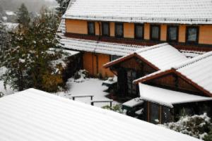 Pension Waldhaus Anita, Bad Harzburg