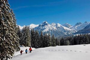 Titlis Resort 3-Zimmer Wohnung 14, Engelberg