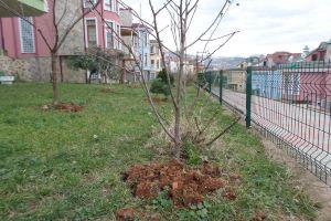 Ahmet Zeytun Villa 1-2, Trabzon