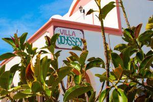 Villa Odyssey, Karterados