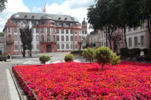 Altstadtapartment, Mainz