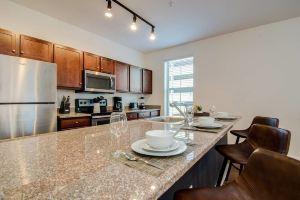 Brand New HUGE 2 Bdrm Apt - 6 MIN WALK TO BEALE Apartments, Memphis