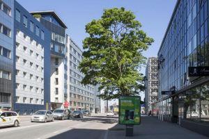 Jõe Apartments - Apartments with Sauna in the City Center, Tallinn