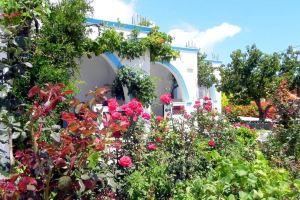 Mihalis Studios, Lakki