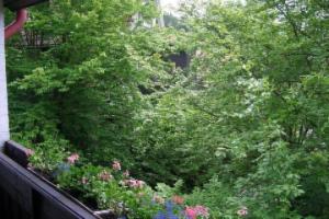 Hotel Recke, Braunlage