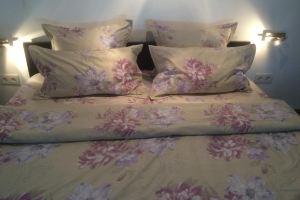 Botanica Apartment, Chisinau