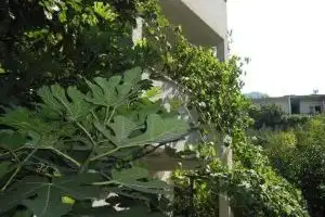 Kornelija 2 Hotel, Drasnice