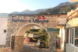 Newly Renovated Apartment Olive, Dhermi