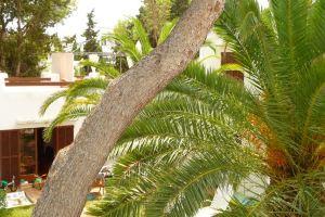 Apartamentos Osa Menor, Cala d'Or