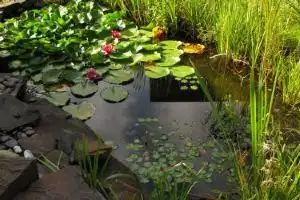 Komfortwohnung City/Messe 25 Min Hotel, Koln