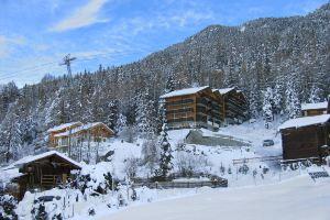 Gentiana (Utoring) Hotel, Grachen