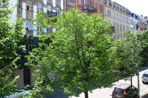 CityCosy-Strasbourg - Chic Oberlin Contades Hotel, Strasbourg