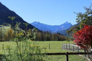 Baumerhus - One Bedroom, Gstaad