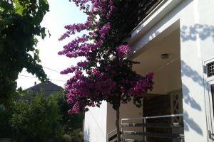 Apartment Anna, Zadar