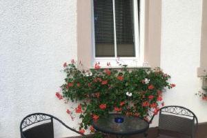 Apartma Eli, Bled