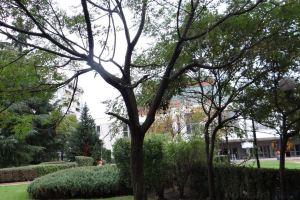 Luxury Versailles Apartments Center Opera, Bourgas