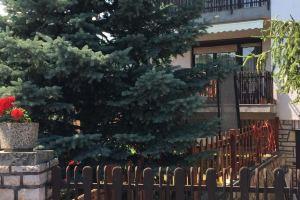 Anita Apartman, Csopak