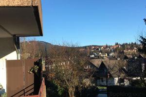 Ferienwohnung Harzmond Apartments, Braunlage