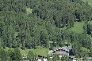 Guardaval 7 Hotel, Davos