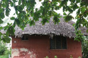 Kidoti Wild Garden, Nungwi