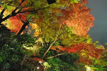 Negiya Ryofukaku - 1