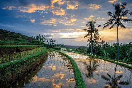 KajaNe Yangloni at Ubud Bali - 2