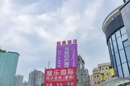 Xinxin - 3