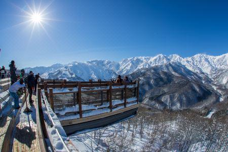 Square 8 Hakuba Retreat by Unplan - 6