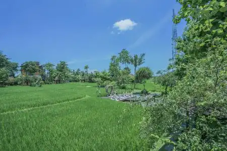 KajaNe Yangloni at Ubud Bali - 4