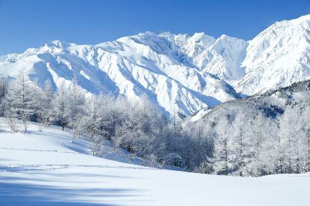 Square 8 Hakuba Retreat by Unplan - 5