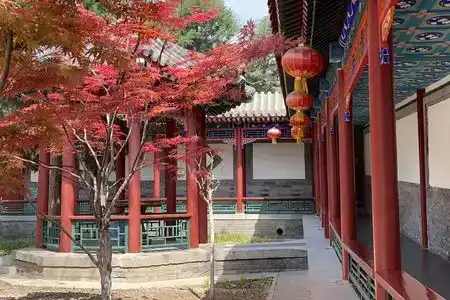 Beijing Jintai Bamboo Garden Branch - 5