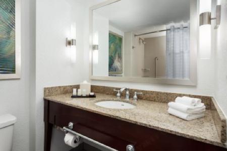 Embassy Suites by Hilton Orlando Lake Buena Vista Resort - 80