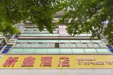 Xinxin - 1