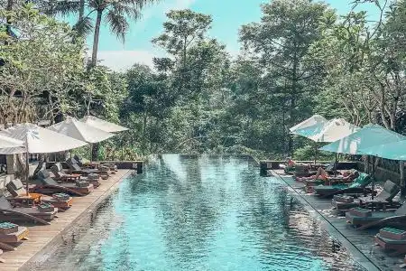 Maya Ubud Resort & Spa - 7