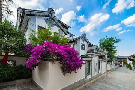 COURTYARD - 3