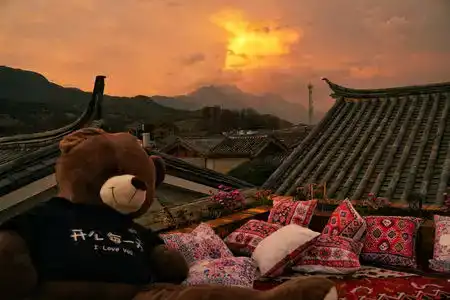 Lijiang Traceable Boutique Snow Mountain View Inn - 0
