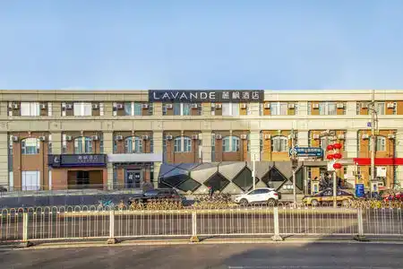 Lavande - 3