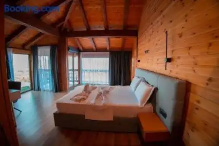 Shpija e Gjyshit - 42