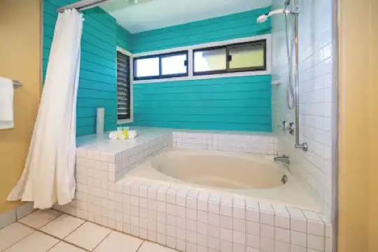 Kapalua Villas Maui - 362