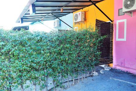 Honey Inn Resort Lam Luk Ka Khlong 8 - 38