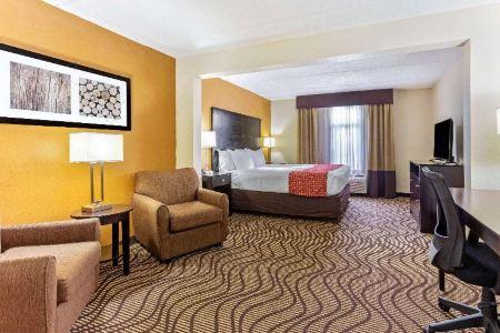 Comfort Inn & Suites Tampa North I-75 - 9