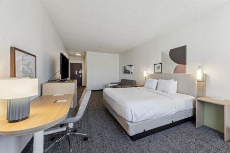 Spark by Hilton Houston Near the Galleria - 11