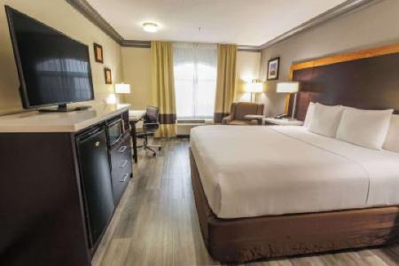 Comfort Inn & Suites Near Universal - N Hollywood - Burbank - 11