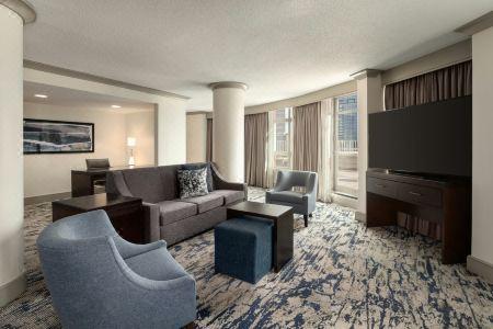 Embassy Suites by Hilton Atlanta at Centennial Olympic Park - 68
