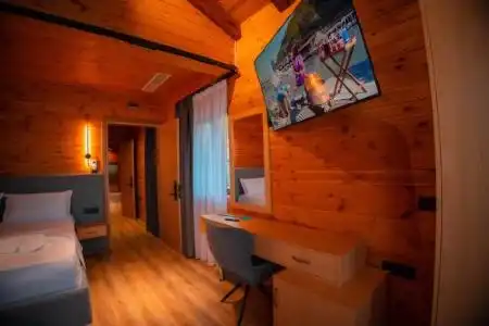 Shpija e Gjyshit - 36