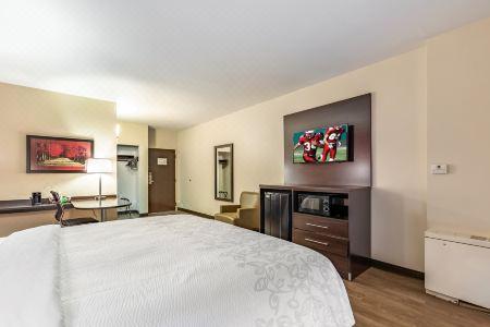 Red Roof Plus+ & Suites Houston - IAH Airport SW - 17