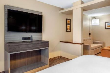 Comfort Inn & Suites North Dallas-Addison - 25