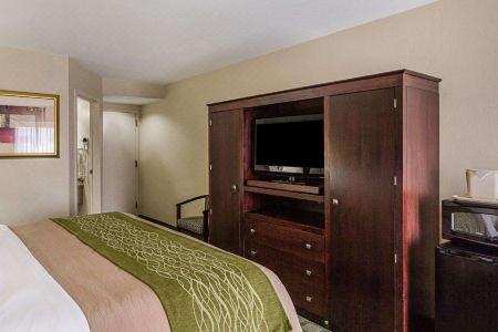 Comfort Inn Southwest Fwy at Westpark - 14