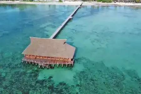 Pongwe Bay Resort - 1